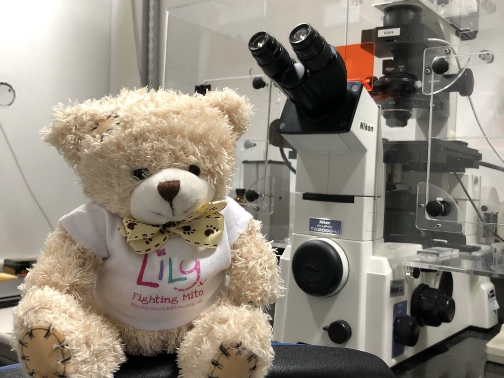 A Lily-branded teddy in front of a medical machine