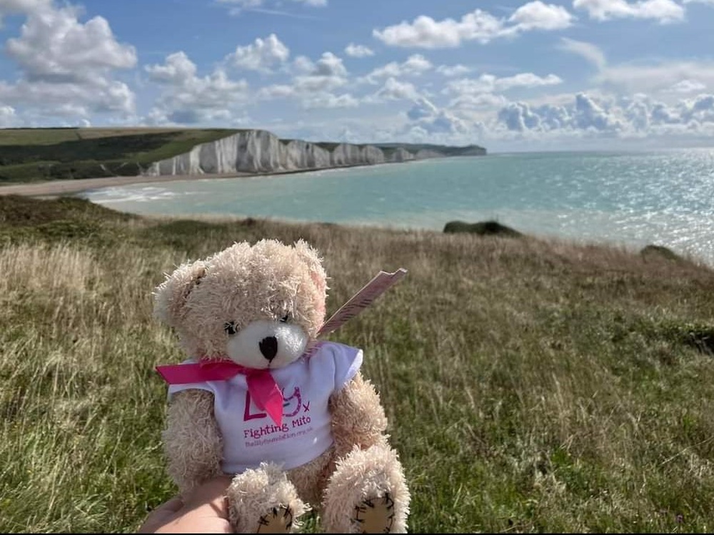 A Lily-branded teddy perched on grass with the sea and coast behind