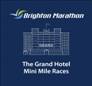 brighton_marathon_logo.jpg