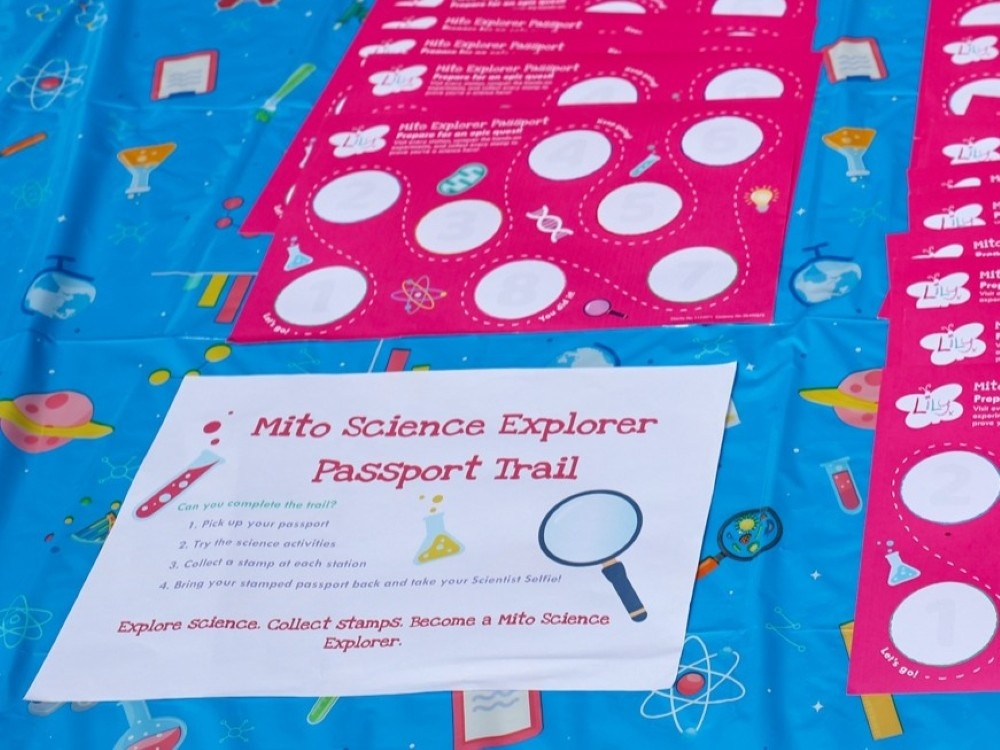 Close-up of the mito explorer maps at the Lily support weekend