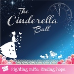 The 2024 Cinderella Lily Charity Ball