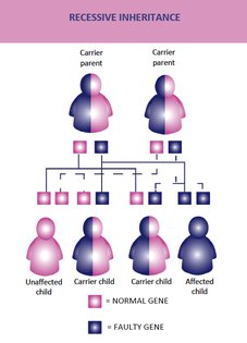 qa_recessive_inheitance.png
