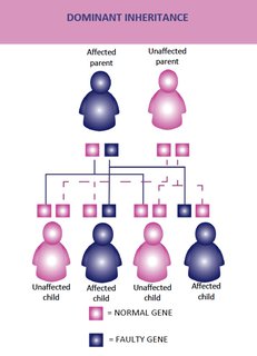 qa_dominant_inheritance.png
