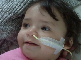 img00097.jpg
