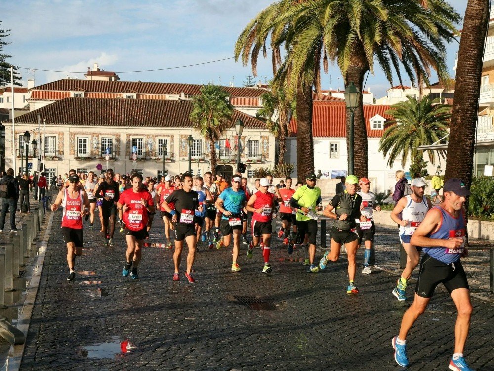 Image shows a large group of runners facing forwards along palm tree lined streets. Blue skies.