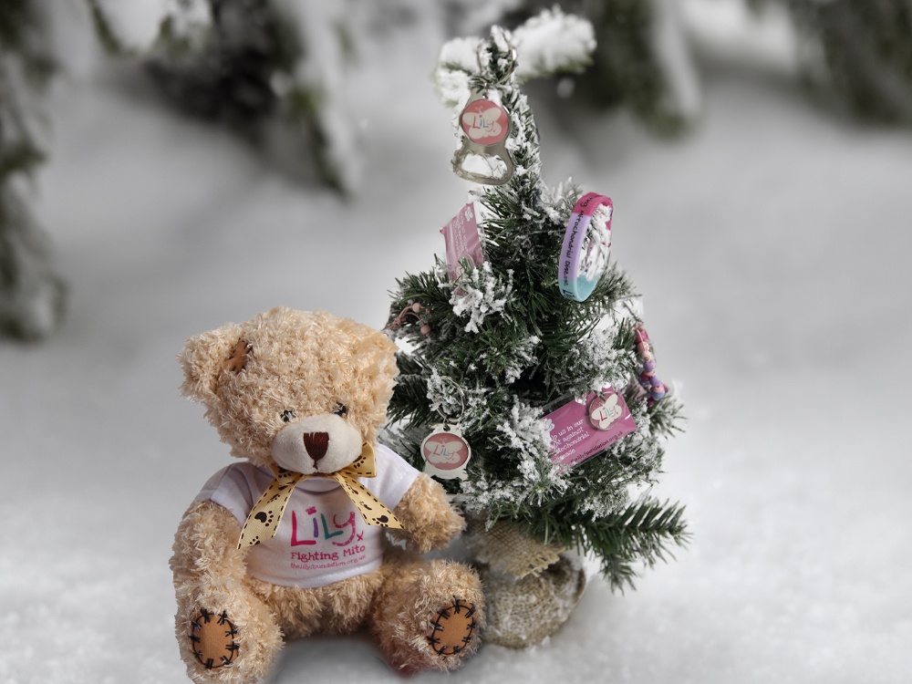 A Lily-branded teddy next to a miniature Christmas tree decorated with Lily Foundation merchandise