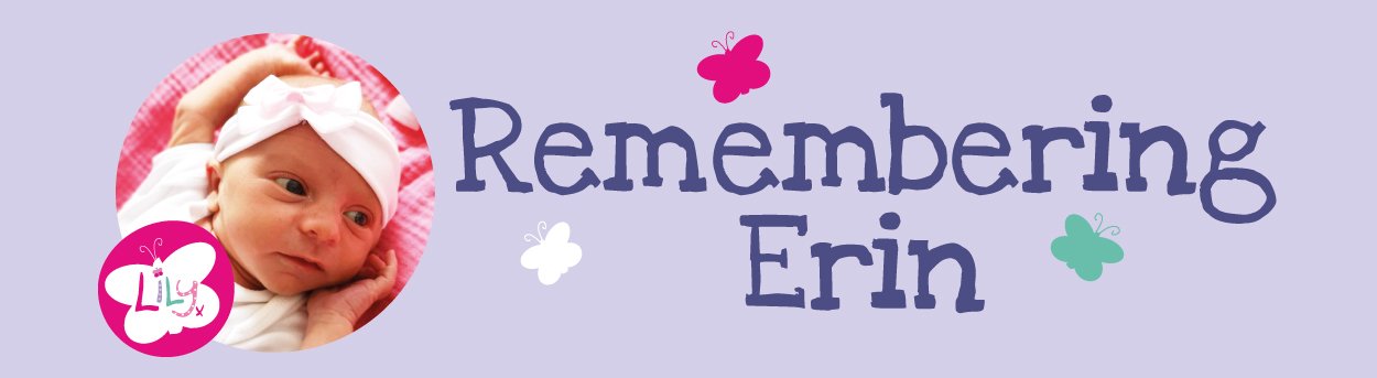 Logo of The Lily Foundation's Team Remembering Erin
