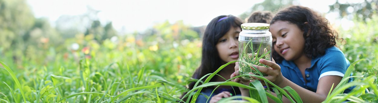2 girls lying in long grass, looking at a jam jar with leaves and bugs inside