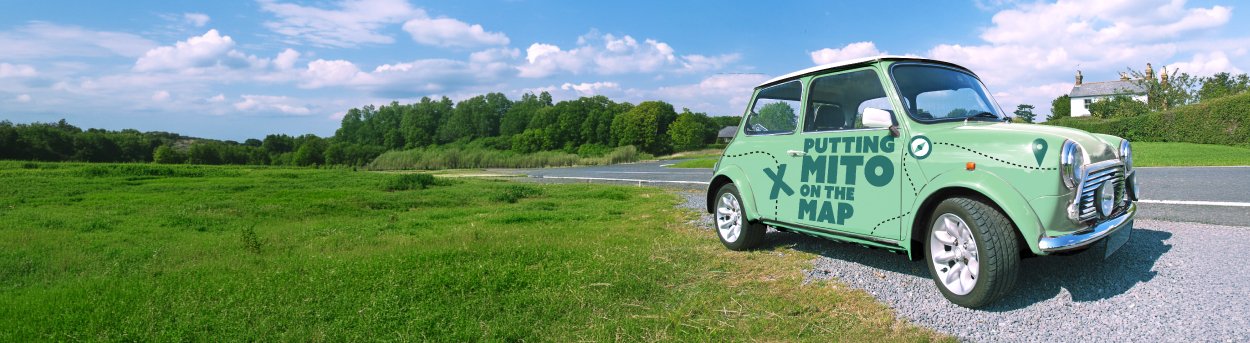 Green Mini Cooper with 'Putting mito on the map' logo on the side