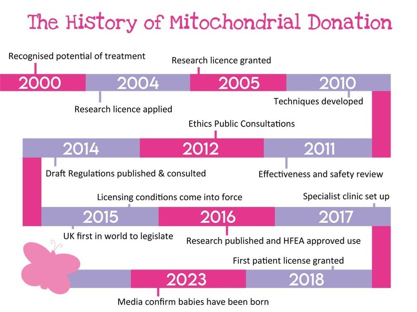 Pink and purple date snake, highlighting significant historical achievements for mito donation