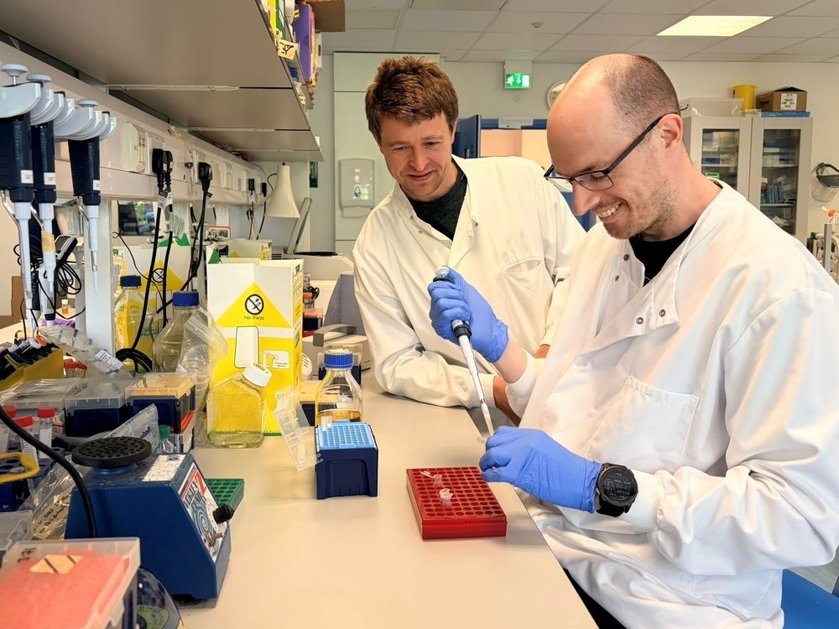 A researcher using a pipette at a bench in a lab with another researcher looking on