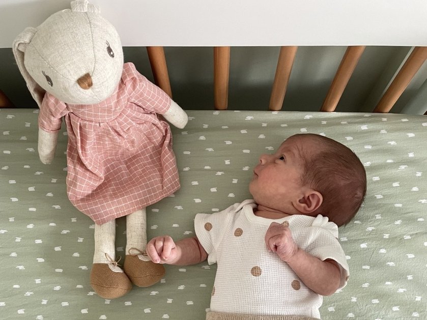 Overhead of a tiny baby in a cot with a stuffed toy next to her
