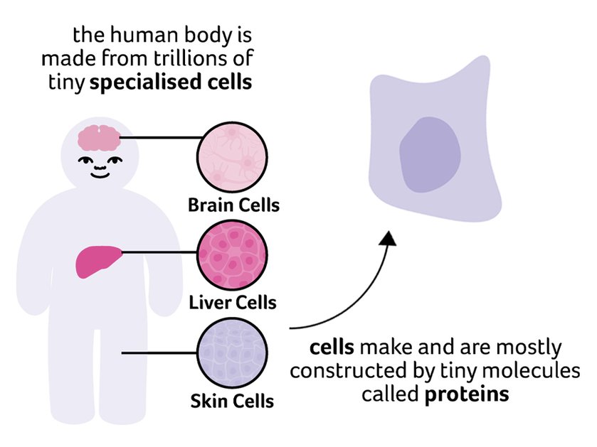 Illustration of what a cell is