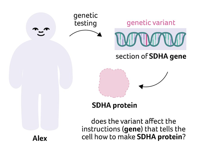 Illustration of the process of genetic testing of cells