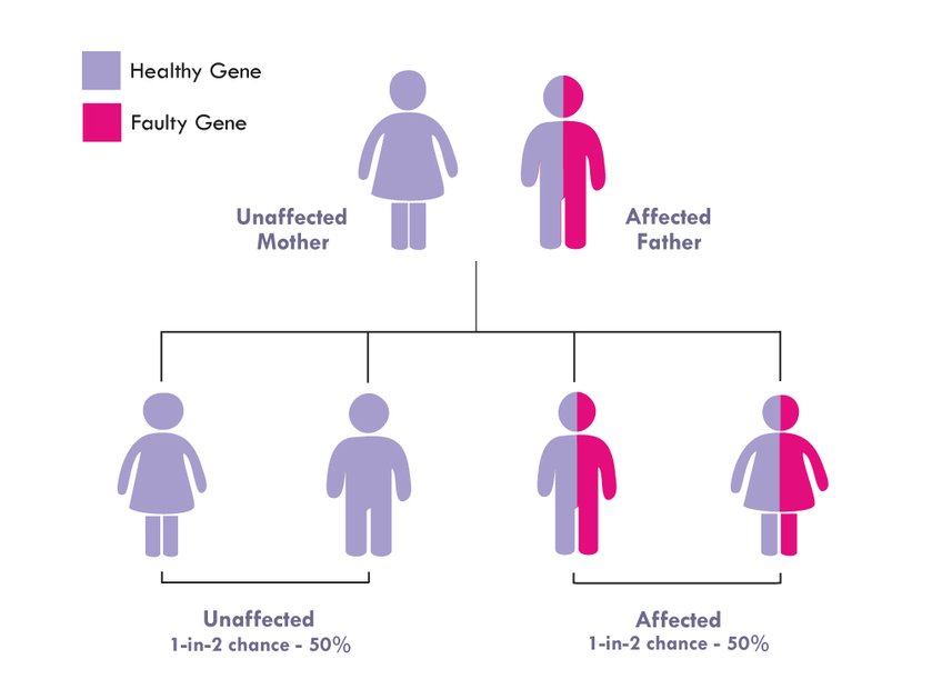 Graph showing the pattern of inheritance for autosomal dominant inheritance in mitochondrial disease