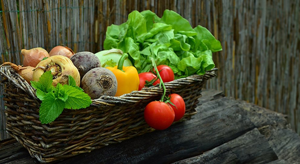 A rustic woven basket full of home grown fresh vegetables and salad