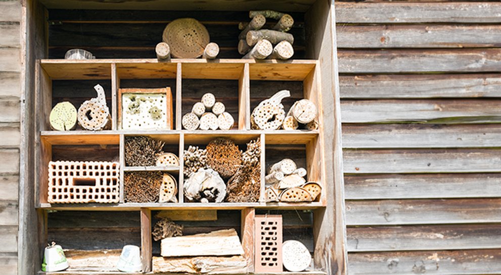 A wooden bug hotel made from a frame which is divided into individual boxes, each packed with interesting logs and sticks