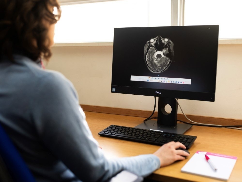 A lady sitting in front of a monitor using a mouse at a desk