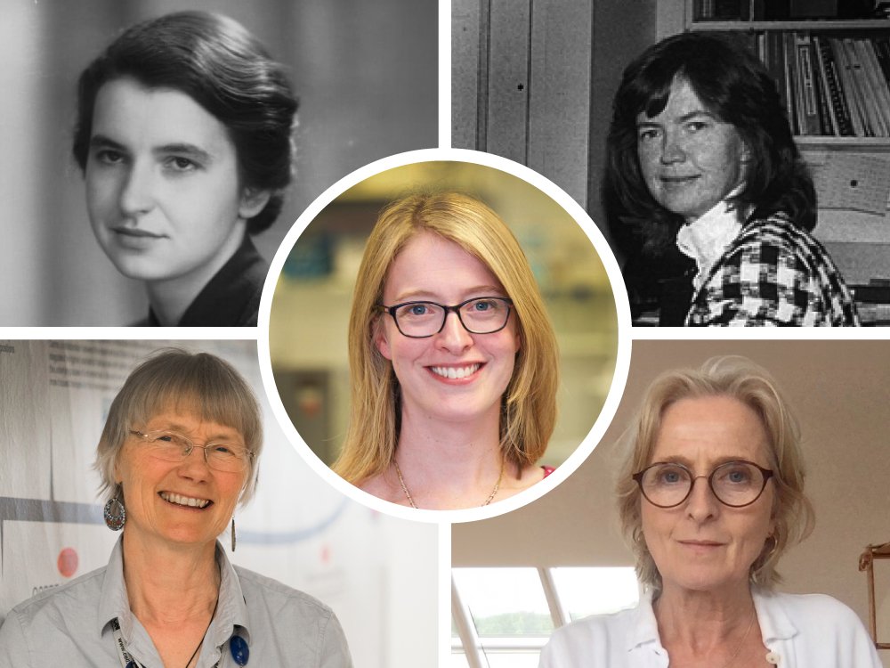 Montage of headshots of women involved in mitochondrial disease research over the years