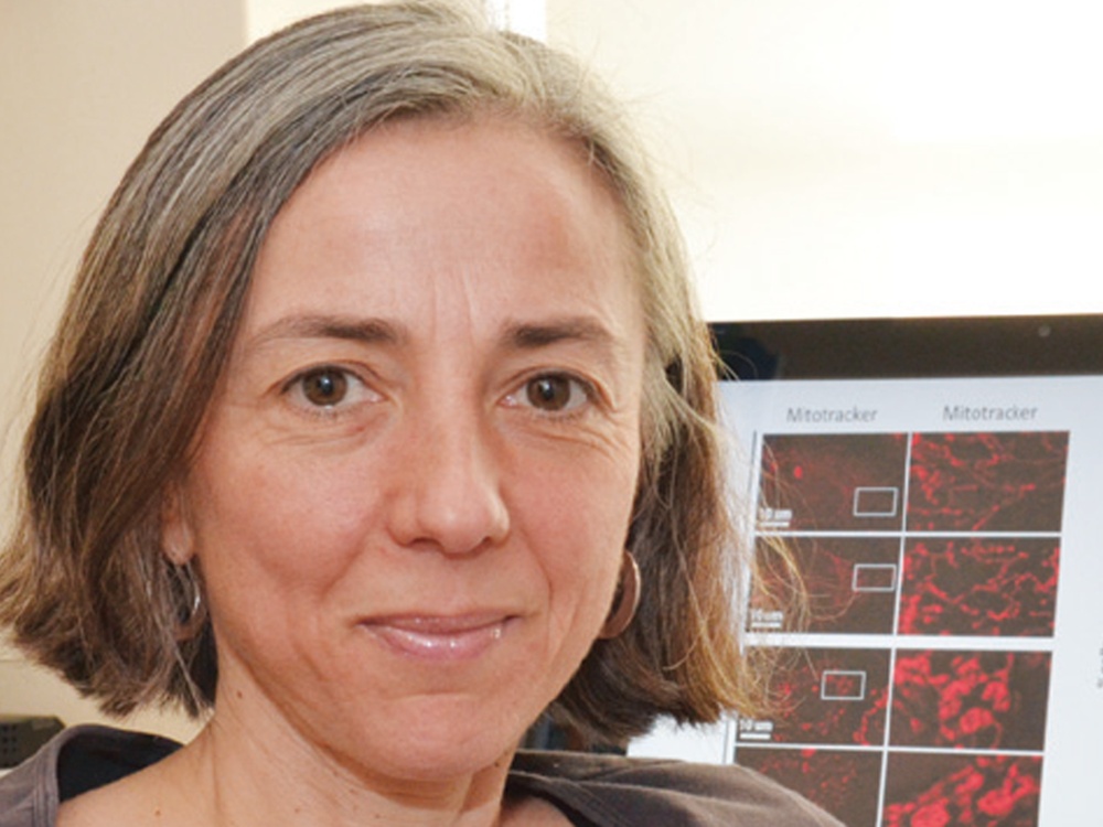 Antonella a neurologist and mito researcher