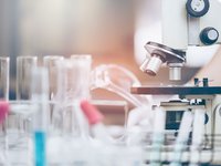 Mitochondrial Disease research, The Lily Foundation