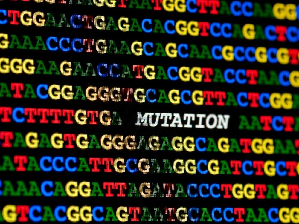 Close-up of a screen showing the word mutation amongst the strings of human DNA