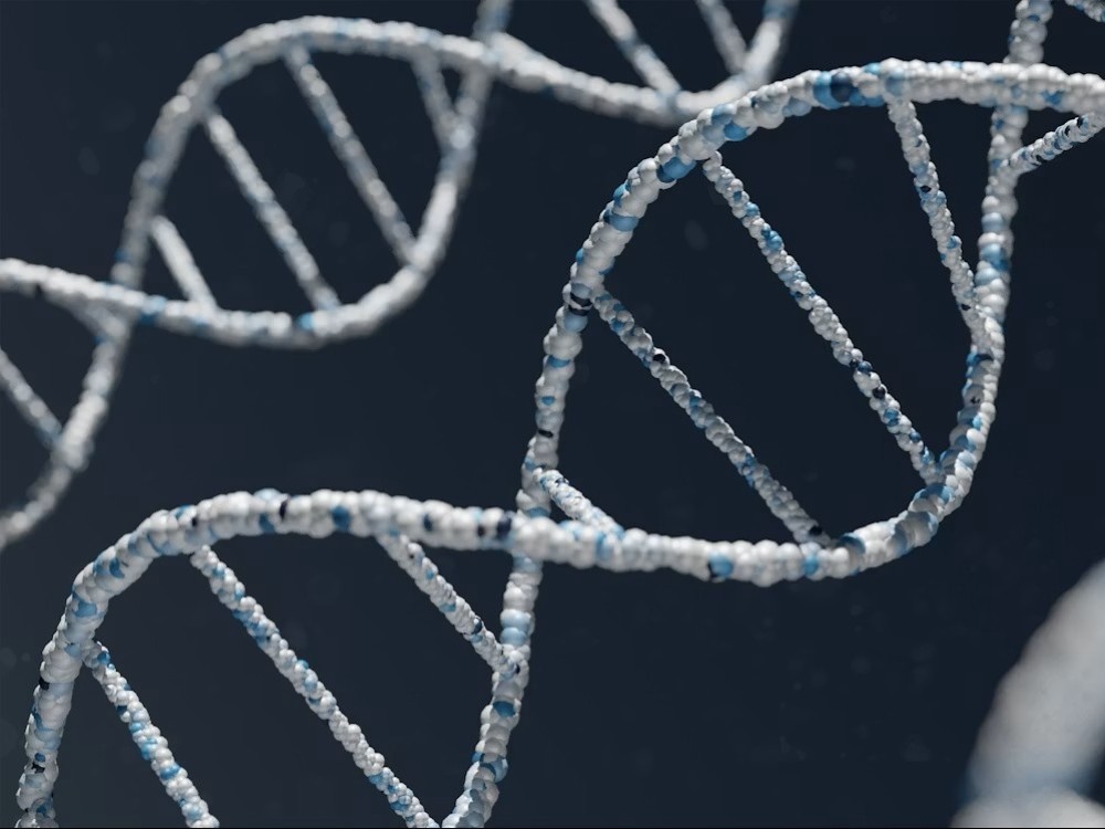 A chain link fence of DNA