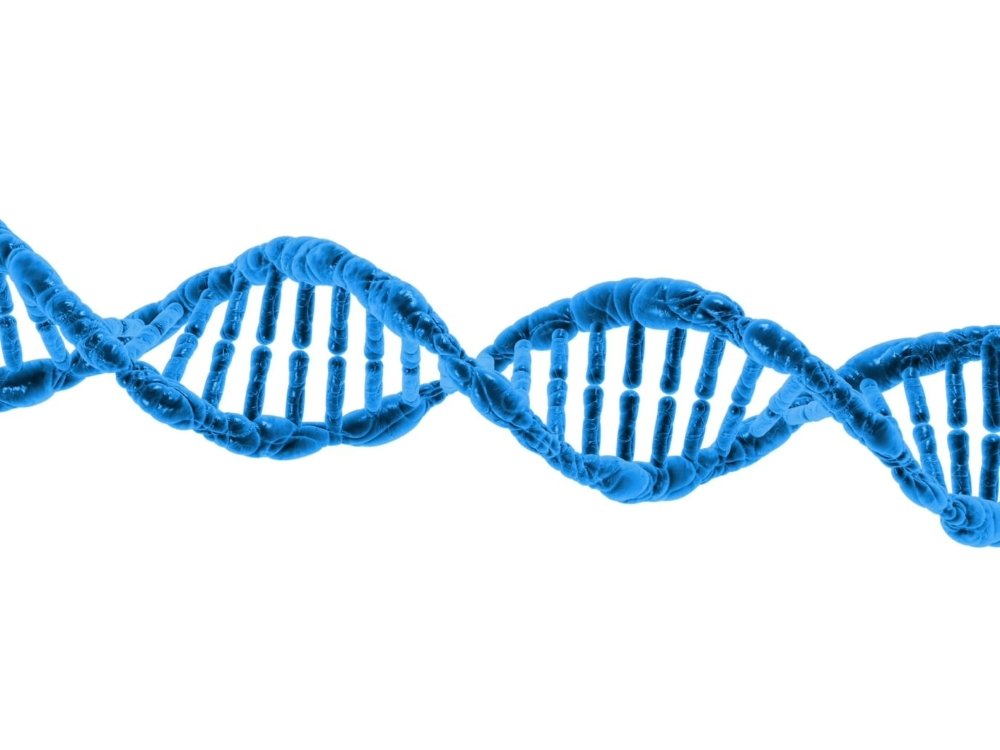 Close-up of a helix of DNA in the human body