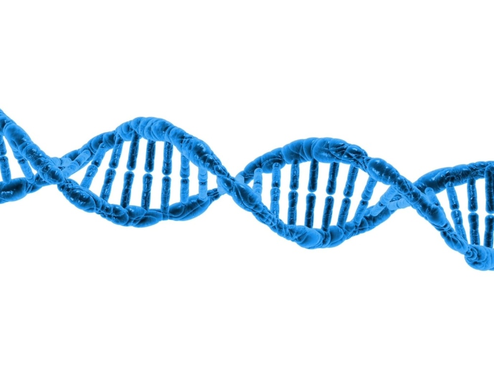 Close-up of a helix of DNA in the human body