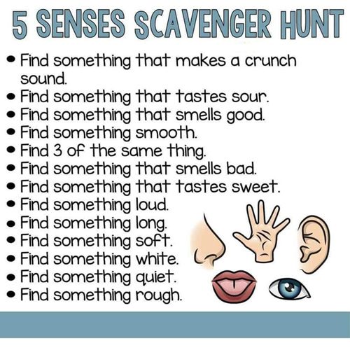 Scavenger hunt ideas The Lily Foundation for research into