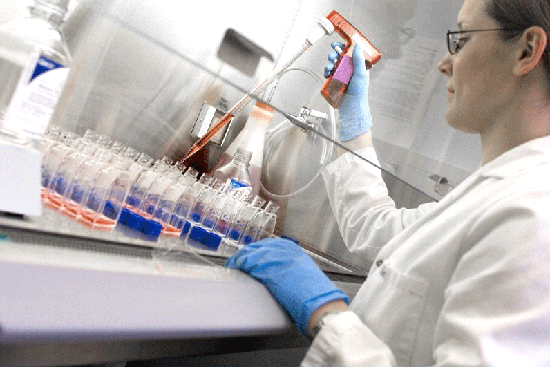 A women in a white lab coat is facing a air flow cabinet and using a micropipette and putting red liquid into small bottles